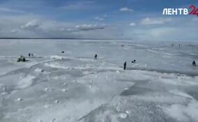 Восточная и центральная части Финского залива покрылись сплошным льдом