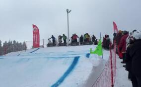 В Ленобласти стартовал пятый этап кубка России по сноуборду