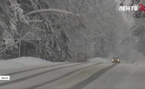 В ближайшие дни в Ленобласти ожидаются сильные снегопады