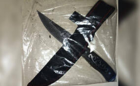 Суд рассмотрит дело о поножовщине в поезде Санкт-Петербург — Симферополь