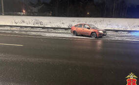 70-летний мужчина погиб в ДТП на Приморском шоссе