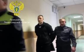 Иностранца приговорили к 8 годам строгого режима за покушение на сбыт в Ленобласти 20 кг наркотиков