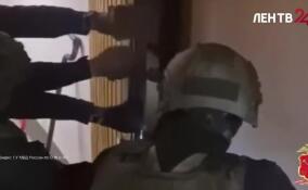 Полицейские раскрыли подпольные нарколаборатории в Парголово