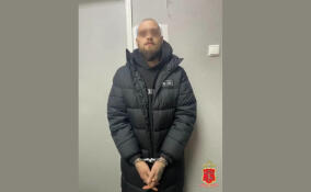 Жителя Мурино задержали за помощь в обмане петербургской пенсионерки