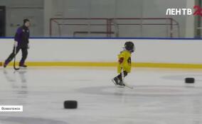 Как во Всеволожске воспитывают новое поколение звезд хоккея с мячом