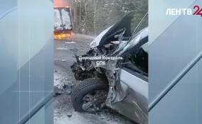 Недалеко от деревни Коваши столкнулись два автомобиля