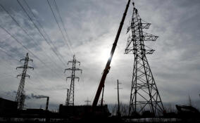 Более 25 км незаконных линий связи на опорах ЛЭП выявили «Гатчинские электрические сети»