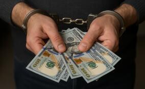 В Киришах директор компании сокрыла 13 млн рублей от налоговой