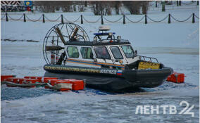 Под лед Невы во Всеволожском районе провалился человек
