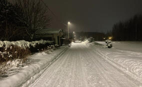 Мороз до -23 и ветер: прогноз погоды в Ленобласти на 19 февраля