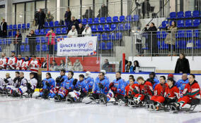 Во Всеволожске завершился третий этап Любительской следж-хоккейной лиги