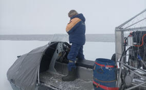 За сутки сотрудники МЧС Ленобласти спасли восемь человек