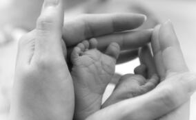 Во Всеволожском районе грудничок скончался по пути в поликлинику