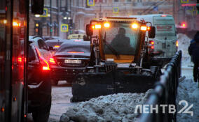 Снежно, ветрено и до -11: прогноз погоды в Ленобласти на 20 февраля