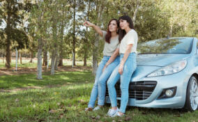 Петербургские приставы взыскали более 4,6 млн рублей за парковку на газонах