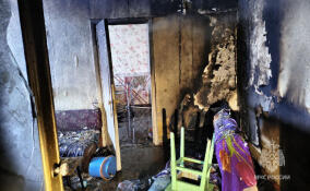 Из горящей двухэтажки в Гатчинском районе спасли шесть человек