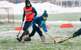 Ленобласть встретит 23 февраля спортивно