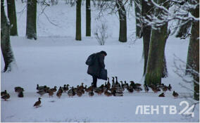 Снег и до -12 градусов: о погоде в Ленобласти 20 февраля