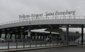 Петербурженку задержали за кражу наушников у бортпроводницы в Пулково