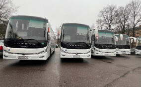 В трёх районах Ленобласти обновили автобусный парк