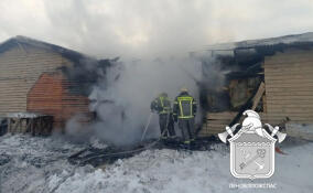 Из горящей фермы в Гатчинском районе спасли 40 коз и 20 коров