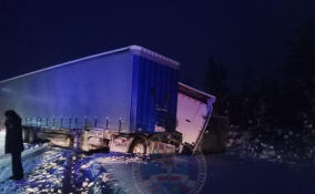 Столкновение легковушки и двух грузовиков на трассе «Кола» унесло жизнь человека