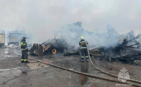 В промзоне у Новосаратовки полыхали почти 450 «квадратов»