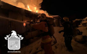 ЧП в Новосаратовке: в промзоне сгорели грузовики и трактор