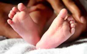 Во Всеволожском роддоме в 2025 году родились 2837 детей