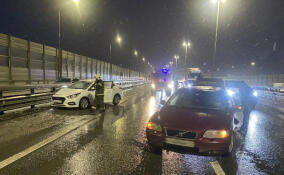 За сутки в Ленобласти потушили 14 пожаров и ликвидировали последствия пяти ДТП