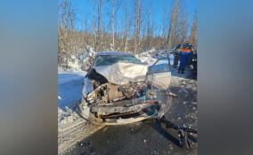 В ДТП в Тосненском районе пострадали два человека