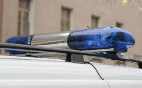 Авария в Лужском районе унесла жизнь 76-летней пассажирки авто