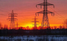 В Ленобласти отремонтируют более двух тысяч километров ЛЭП