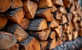 В Ленобласти за пять лет почти в два раза снизился спрос на дрова для отопления