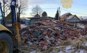 В Волосовском районе по решению суда снесли заброшенное здание