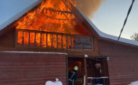 Почти 80 пожаров потушили в Ленобласти за минувшую неделю
