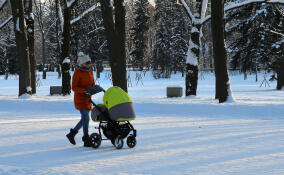 В 2025 году СФР оплатил медуслуги при рождении более 38 тысяч детей в Петербурге и Ленобласти