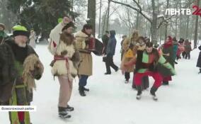 В музее-усадьбе «Приютино» проводили Масленицу