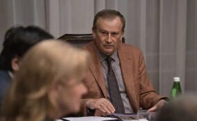 Александр Дрозденко рассказал, каким может быть ленинградский филиал центра «Россия»