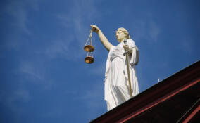 Педофила, который надругался над мальчиком в Петербурге, приговорили к 12 годам