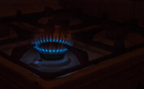 Жители 250 домов в Новинке смогут провести к себе газ