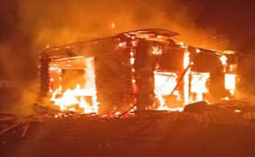 За сутки в Ленобласти потушили 16 пожаров: погиб один человек