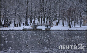 Без осадков и до -6 градусов: о погоде в Ленобласти 25 февраля