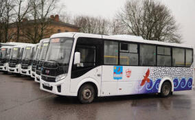 Ленобласть перевыполнила план по обновлению общественного транспорта