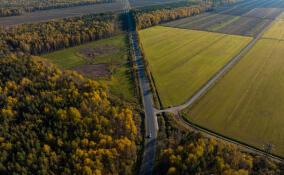 Мишустин отметил успехи Ленобласти по развитию дорожной сети