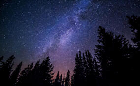 В Ленобласти проходит региональный этап олимпиады по астрономии