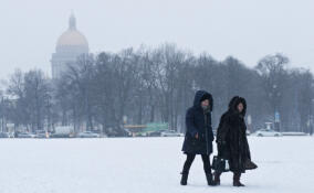 Снегопад и ветер накроют Петербург 26 февраля