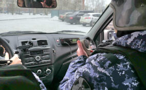 57-летний мужчина палкой разбил окно чужой иномарки в Петербурге