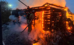 За сутки в Ленобласти ликвидированы 14 пожаров и последствия одного ДТП