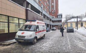 Врачи борются за жизнь девочки из Всеволожского района, пережившей остановку сердца